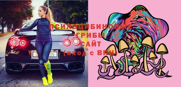 стаф Абаза