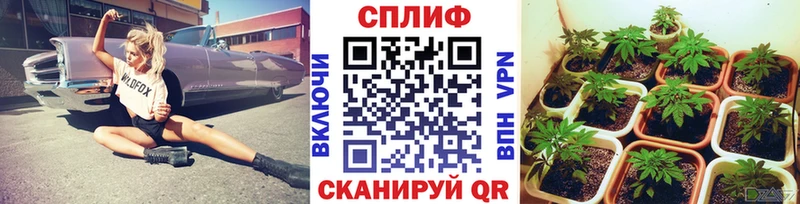Канабис семена  Новосиль 